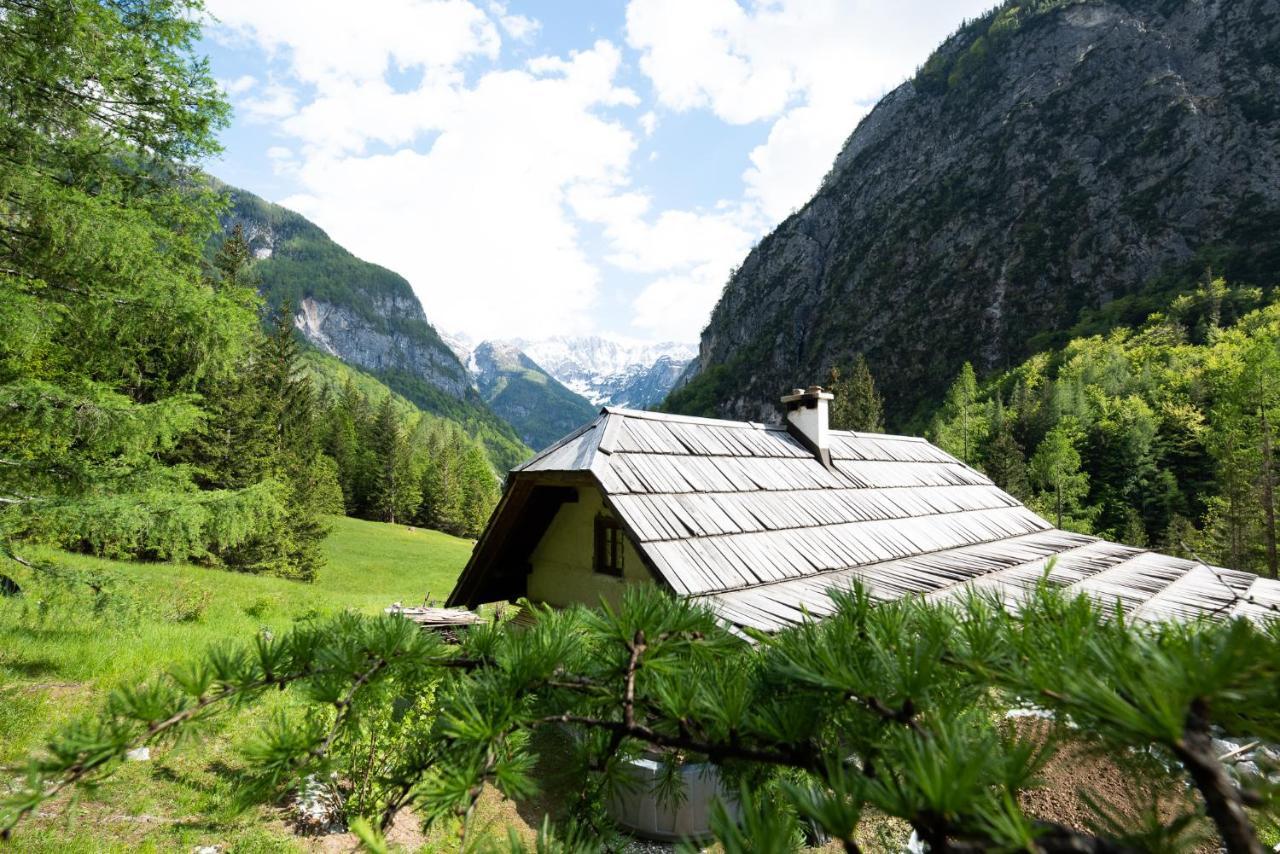 Wild Flower Cottage In Трента Экстерьер фото