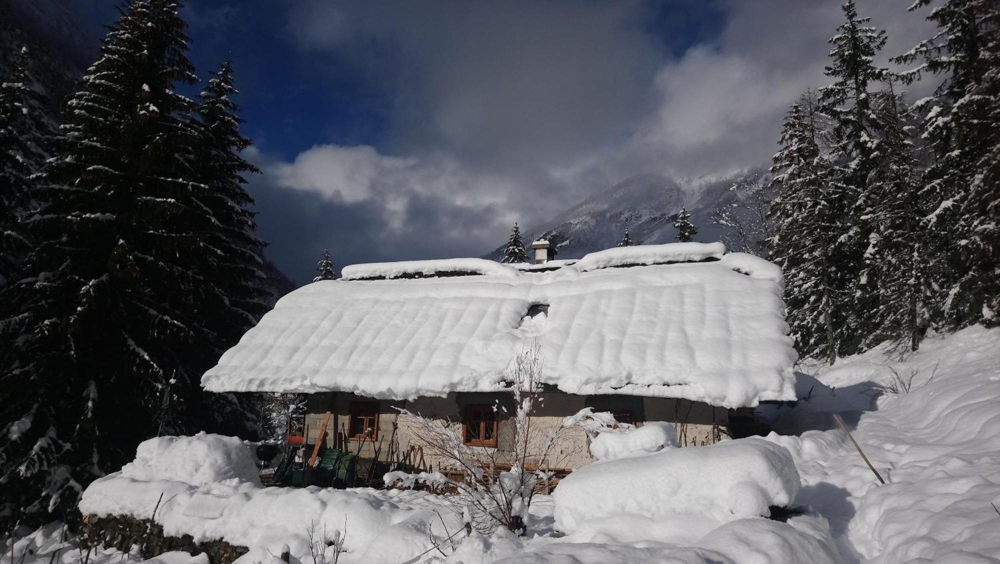 Wild Flower Cottage In Трента Экстерьер фото